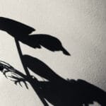The Art of Shadow Creation: Enhancing Your Product Photos for a Realistic Look