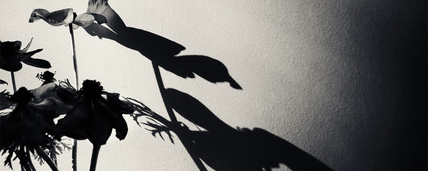 The Art of Shadow Creation: Enhancing Your Product Photos for a Realistic Look